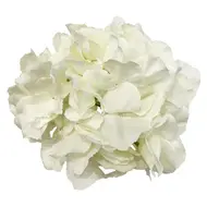 Искусственные  растения