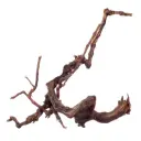 Коряга «Вильфор»