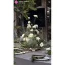 Салфетка бархатная мшистая