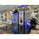 Фотозона из пайеток. Серебро