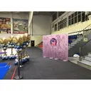 Фотозона из пайеток. Лиловая