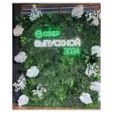 Ширма "Зеленая стена из искуственной зелени"